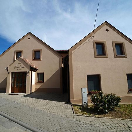 Penzionu Aurelius U Bednaru Pavlov Exterior foto