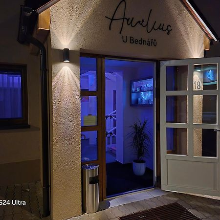 Penzionu Aurelius U Bednaru Pavlov Exterior foto